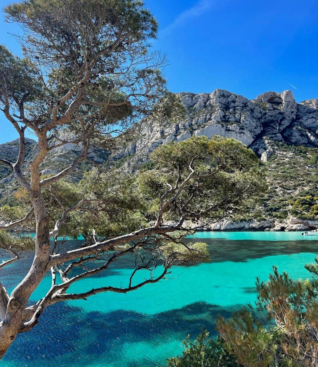 Logement Vue Mer Splendide - Situe A 50 Metres Du Bord De Mer Et 2 Minutes Des Plages - Bandolina Экстерьер фото